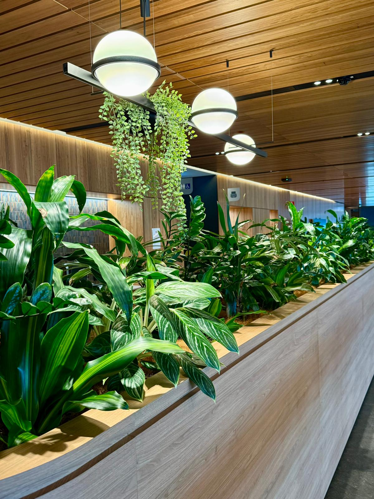plant hire melbourne