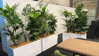 office events plant hire