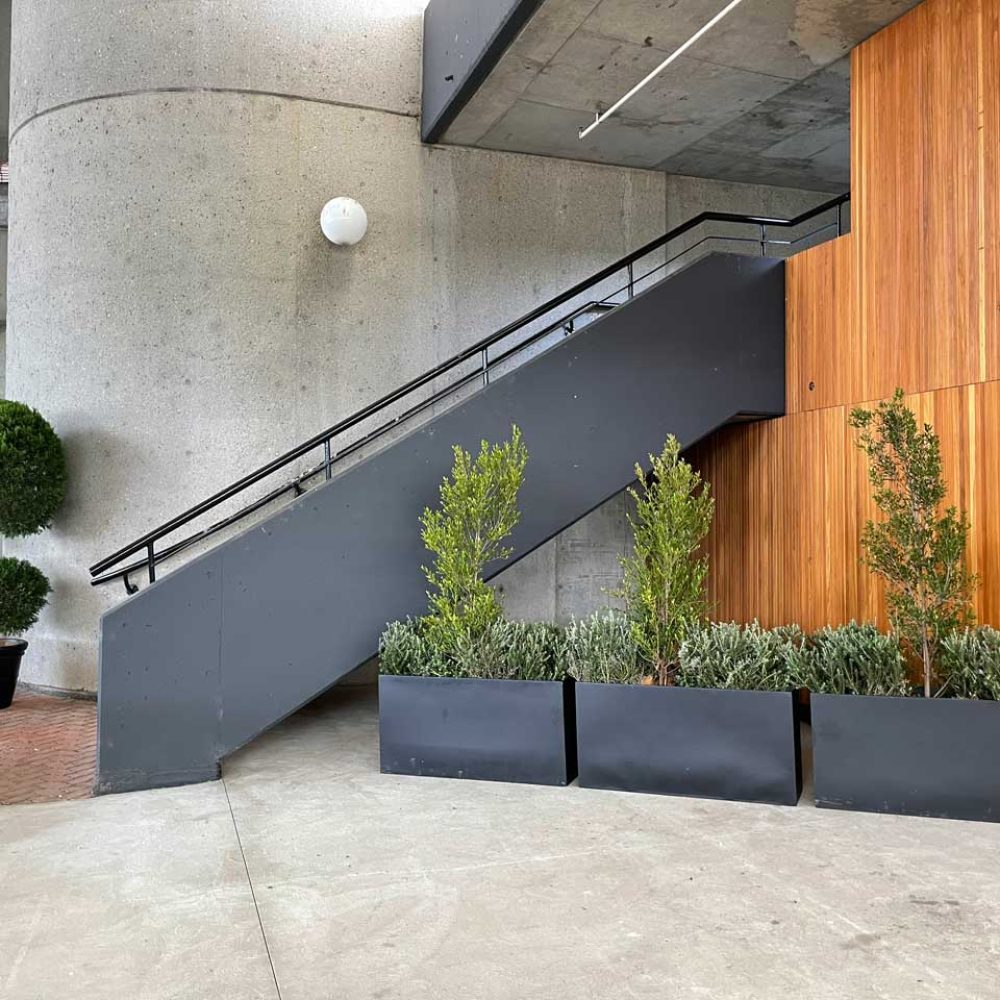Outdoor plant hire