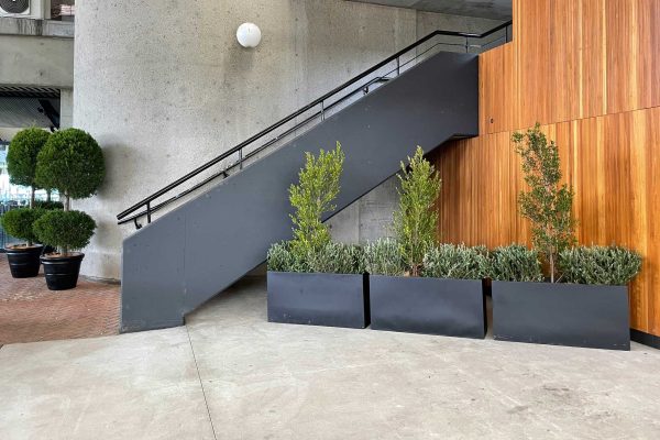 TPR Indoor plant hire near stairs