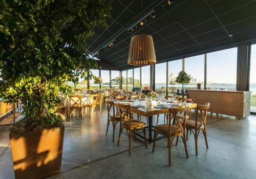 Why Choose Tropical Plant Rentals for Your Wedding