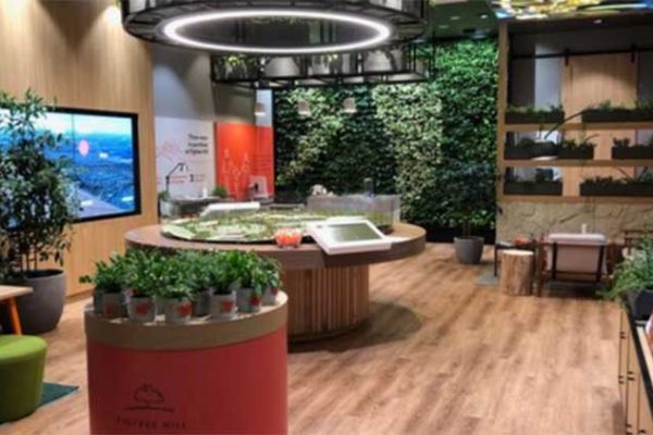 using indoor plants to improve green star rating
