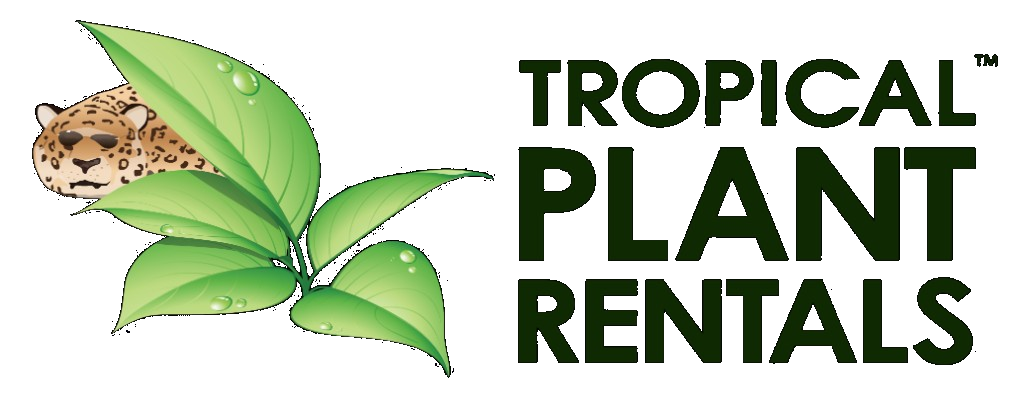 Tropical Plant Rentals