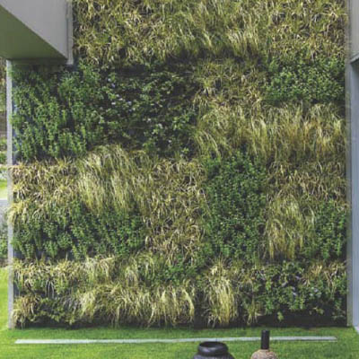 external green wall