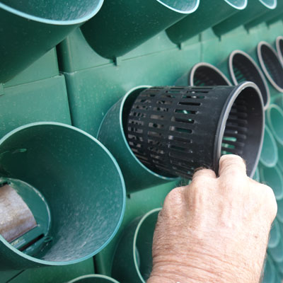 TPR290 grow pot detail