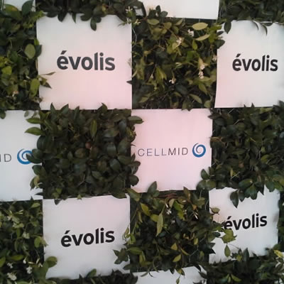 green media walls