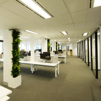 horticulture of australia custom build green wall