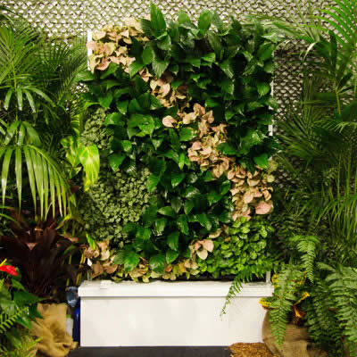 tpr cabinet green wall