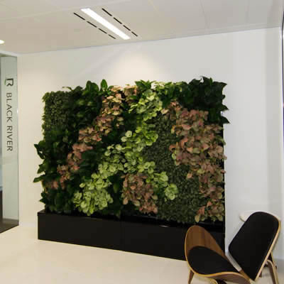 Freestanding TPR Cabinet green wall