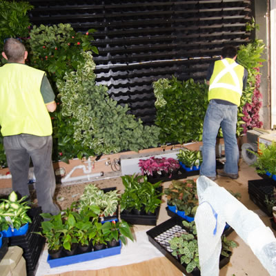 vertical garden construction west elm