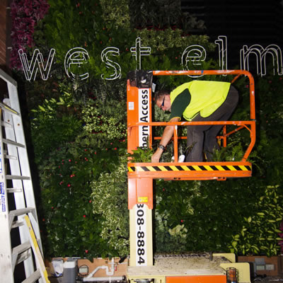 vertical garden construction west elm