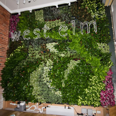 vertical garden construction west elm