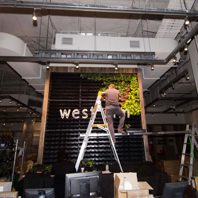 vertical garden construction west elm chatswood