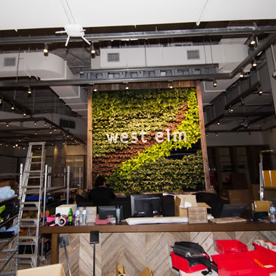 vertical garden construction west elm chatswood