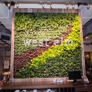 West Elm Melbourne Green Wall 400x400