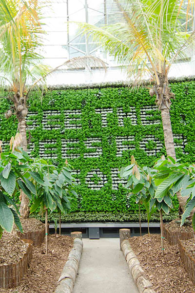 RBGS Green wall-12-2-400wx600h