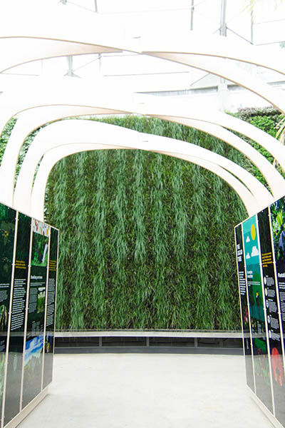 RBGS Green wall-15-2-400x600