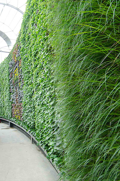 RBGS Green wall-17-2-400wx600h
