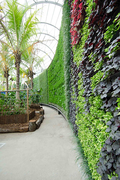 RBGS Green wall-2-2-400x600w