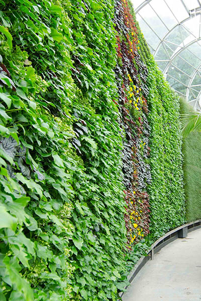 RBGS Green wall-24-2-600hx400w