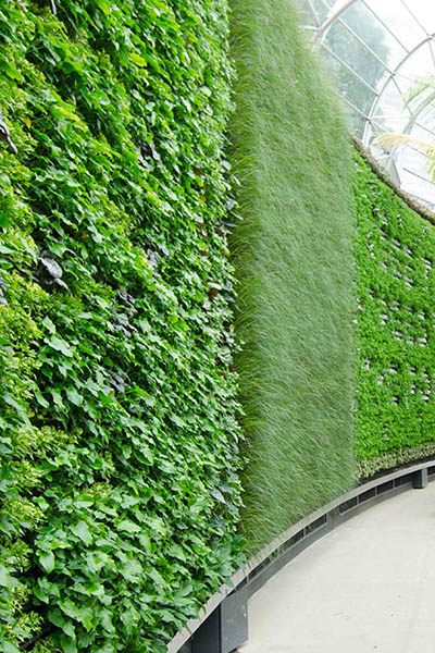 RBGS Green wall-27-2-400wx600h