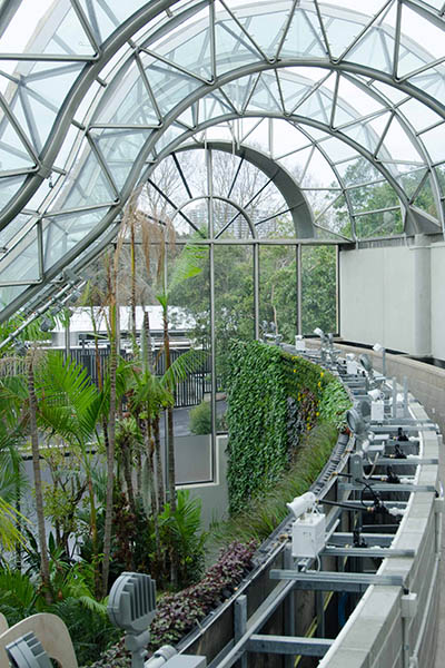 RBGS Green wall-33-2-400wx600h