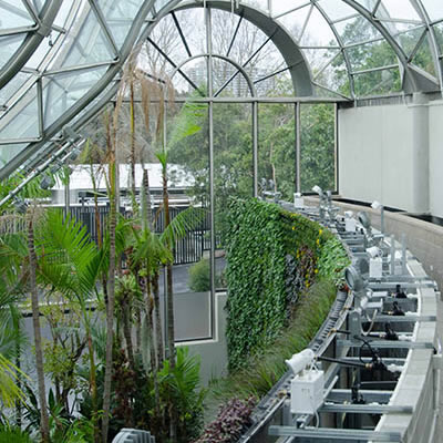 Royal Botanic Garden Sydney Green Wall
