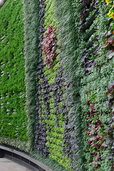 RBGS Green wall-39-2-600hx400w