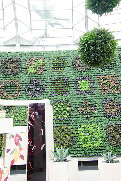 RBGS Green wall-4-2-400wx600h