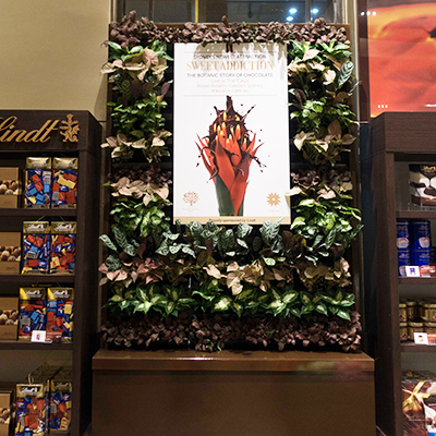 casual-green-wall-cabinet-wall-rbg-lindt-cafe-5-cropped