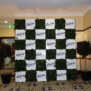 Epping Club Media Green Wall