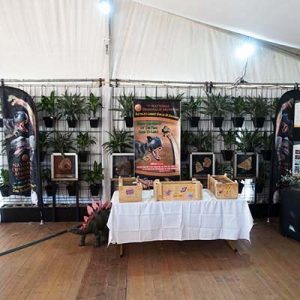 Casual Pot Plant Vertical Green Wall