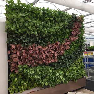 Casual convention green wall - gsky versa