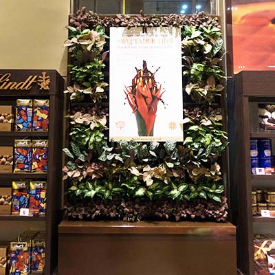 casual green wall cabinet wall lindt cafe