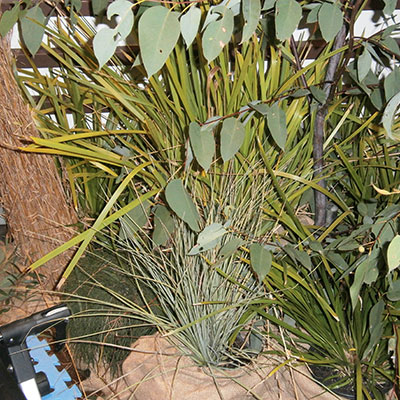 Event prop hire - casual navman prop hessian Australian bush