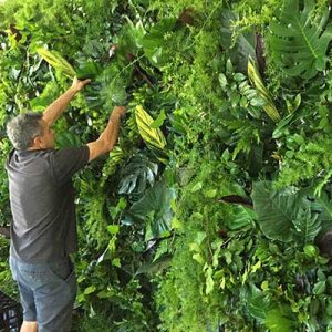 Green wall foliage