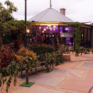 Vineyard theme - Pim Jacobs creek harvest