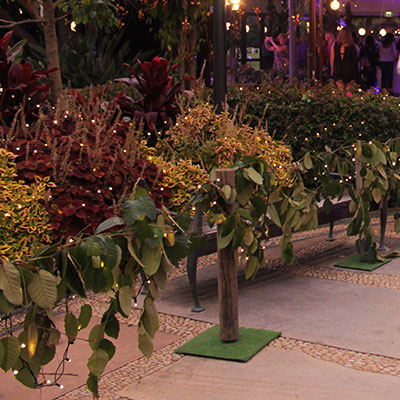 Event Prop Hire - Jacobs creek - harvest, grapevines, vineyard theme