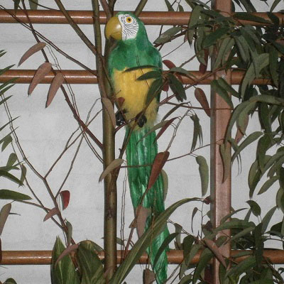 Event Prop Hire - Parrot