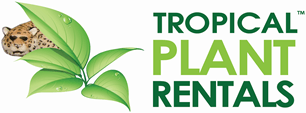 tropical plant rentals