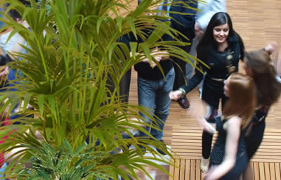 short term plant hire range