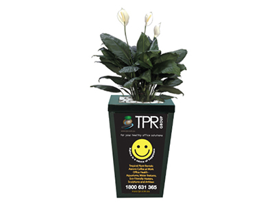 Pot Plant Marketing Smiley Face