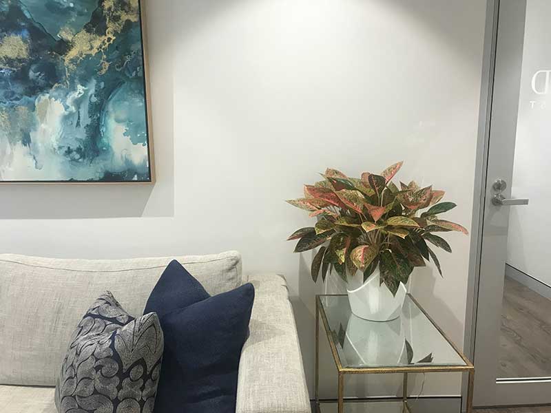 indoor plants in reception area