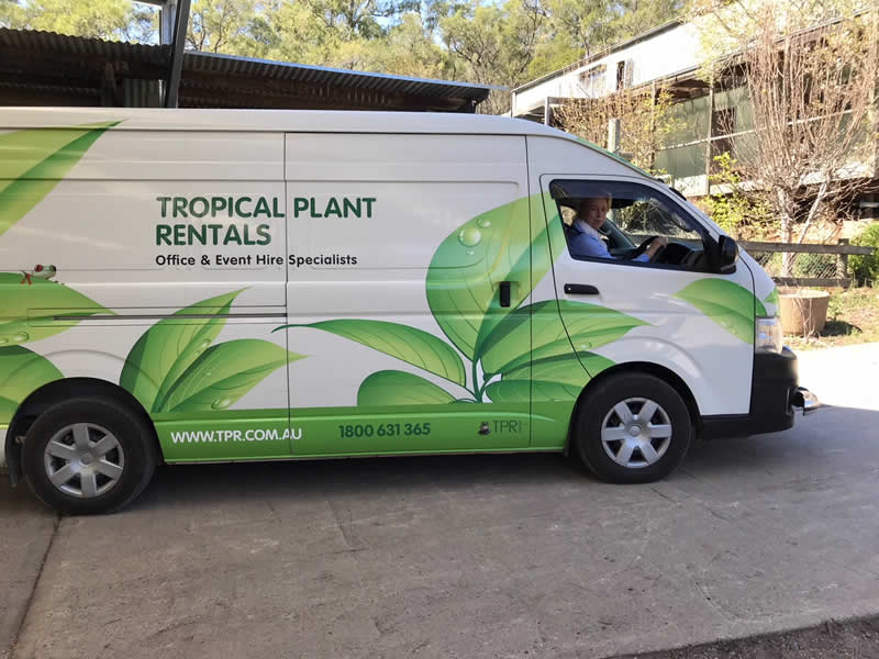 tropical plant rentals parramatta van