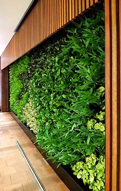 green wall garden hire