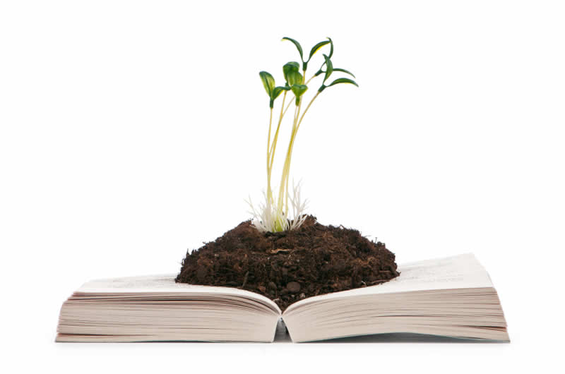 plant school indoor plant