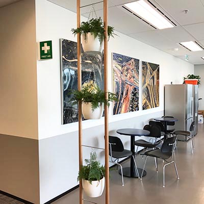 fern hanging pots timber vertical ladder fern hanging pots timber vertical ladder