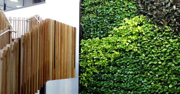 green wall installation hire western sydney