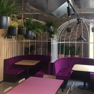 boston fern black hanging rope pot office breakout area boston fern black hanging rope pot office breakout area