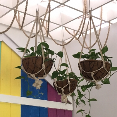 devils ivy hanging custom pots nautical theme devils ivy hanging custom pots nautical theme